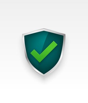 guard your privacy with our defense safety shield logo design vector